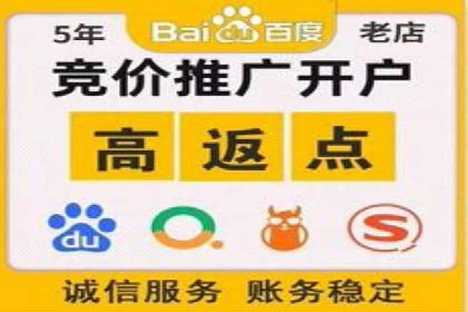 某SEM外包公司助力企业实现品牌飞跃的秘诀